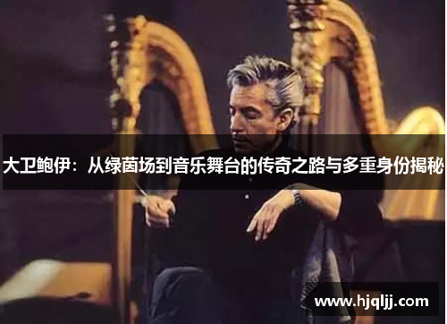 大卫鲍伊：从绿茵场到音乐舞台的传奇之路与多重身份揭秘